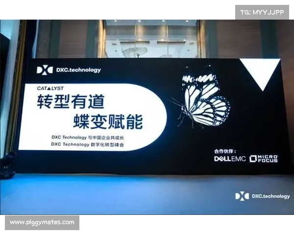 阿迪达斯创新驱动下的全球品牌转型与可持续发展之路 阿迪达斯创新驱动下的全球品牌转型与可持续发展之路