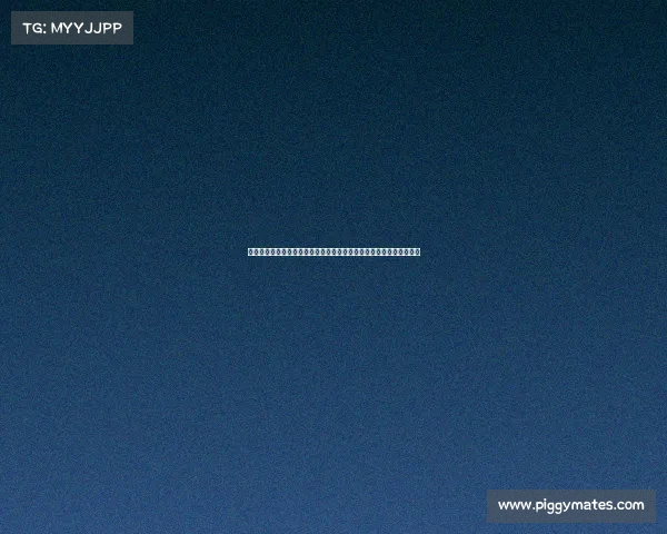 王献钧：深入研究米特里策理论与实践，探索未来发展潜力和应用领域