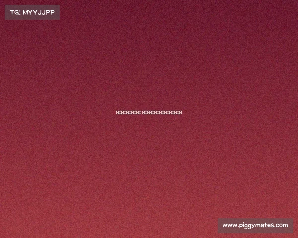 海港亚冠报名名单公布 古斯塔沃夏窗被取消报名后成功入选